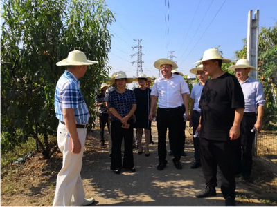 大方县人民政府门户网· 今日头条· 陈萍考察湖北省黄冈市农工同心医院