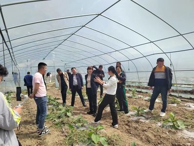 科普进农村 知识惠民生——纪南镇鲁垱村开展蔬菜种植家庭农场农业知识科普讲座